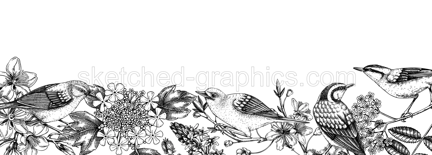 Flowering trees with birds banner. Vintage frame designs with birds, flowers, blooming branches sketches. Hand drawn almond, willow, rowan, willow, cherry blossom isolated on white background Illustration